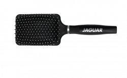   Jaguar SP-2 hajkefe