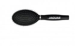   Jaguar Sp-3 ovlis hajkefe